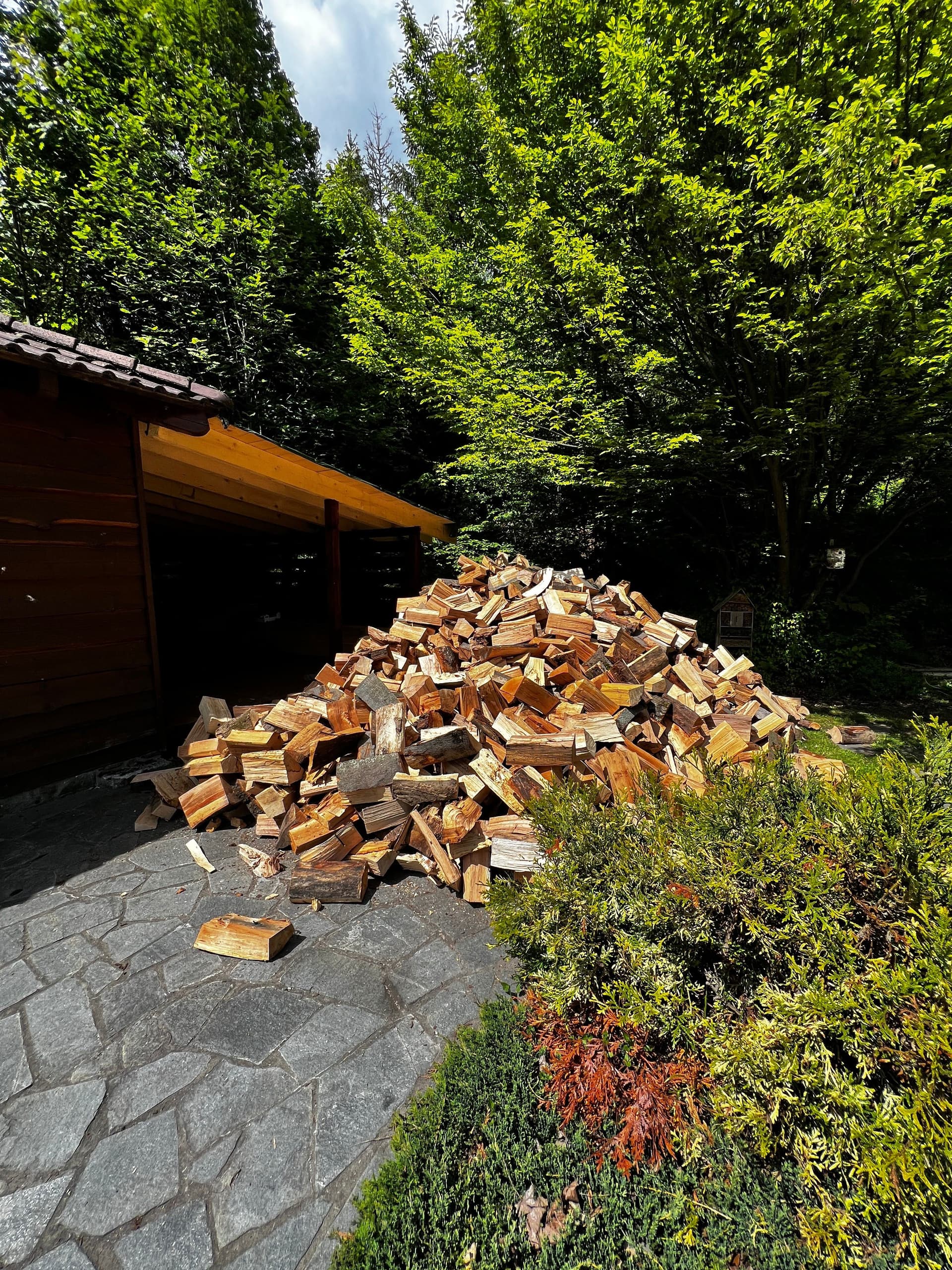 Ukladanie dreva - pred